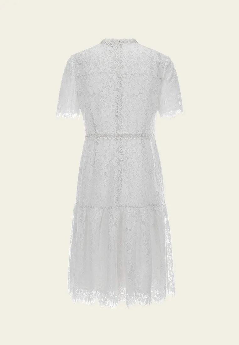Night Out EcoFriendlyTextiles Stand-collar Luerx-trim Frayed-detail Lace Dress