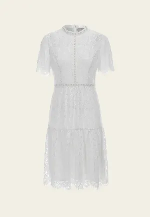 Hidden pockets River Flow Stand-collar Luerx-trim Frayed-detail Lace Dress