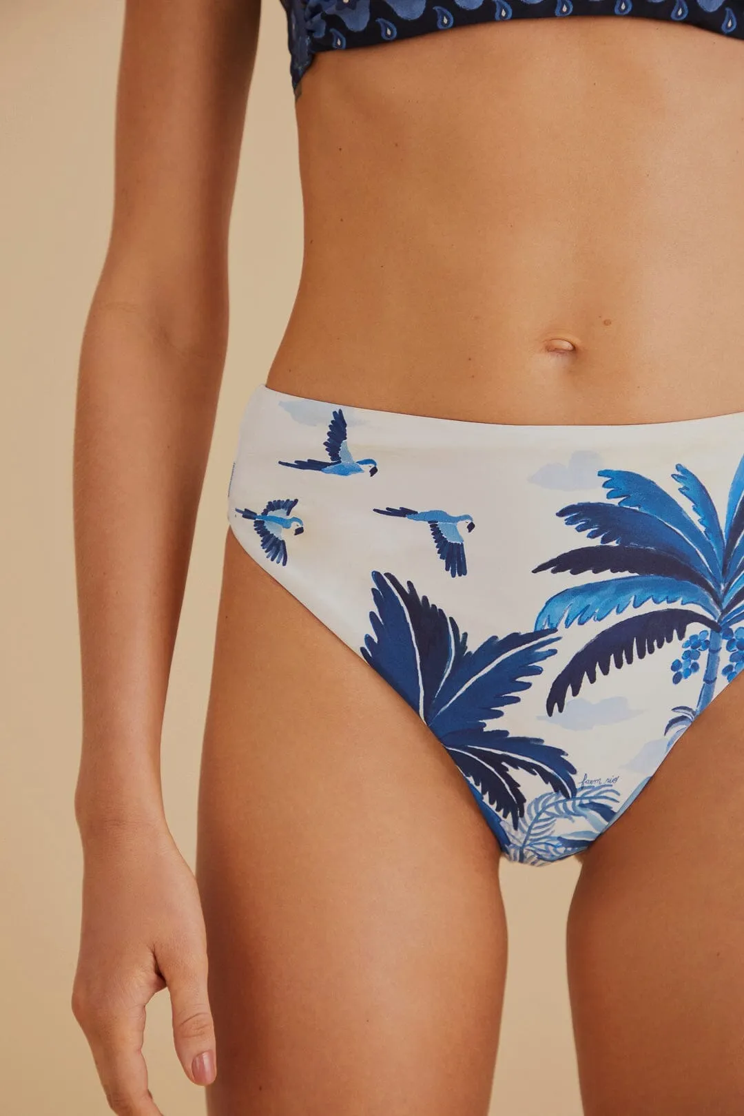 Dream Sky High Waisted Bikini Bottom VentilatedMesh FrictionResistantEdges