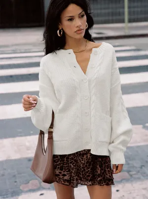 Non Irritating Edges Casual Outfit Luned Mini Skirt Leopard Tall