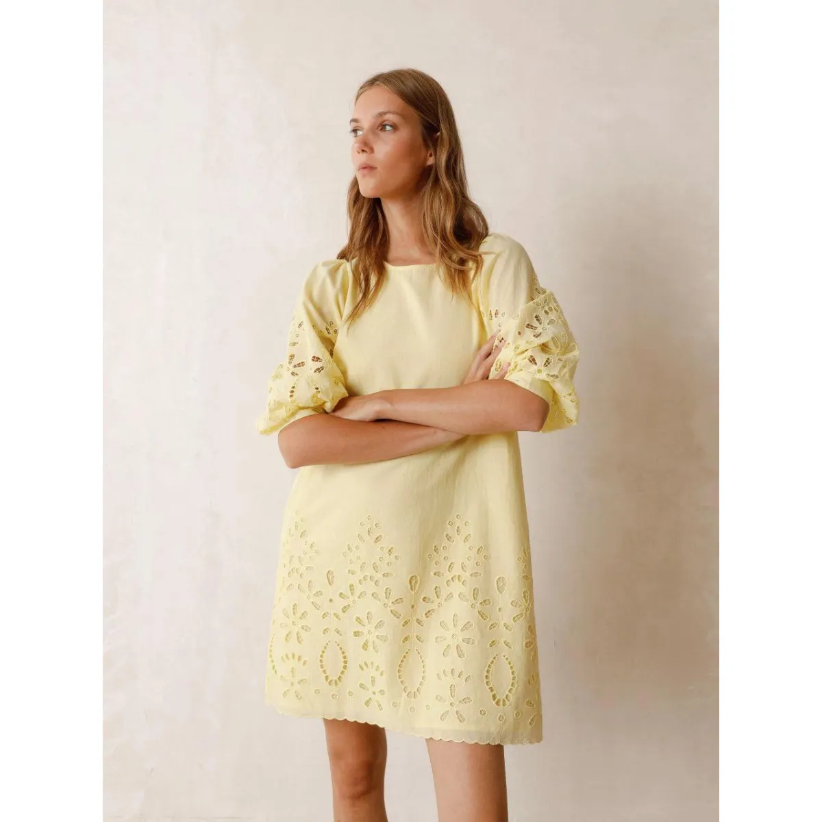 Pistacho Embroidered Cutout Dress Flexible Fabric Blend