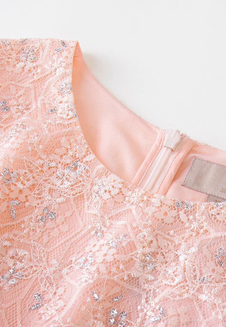Pearl Tone Belted Sequin-detail Lurex Mesh Lace Dress