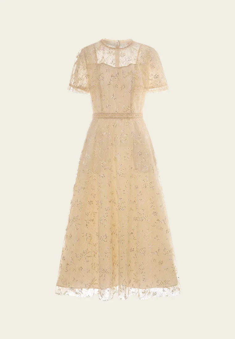 Peace Glow Panelled Lace-collar Embroidery and Sequin Detail Mesh Dress